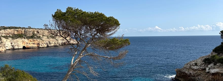 Cala Figuera : Randonnée côtière facile