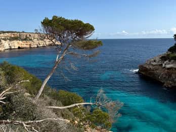 Cala Figuera: Coastal hike easy tour