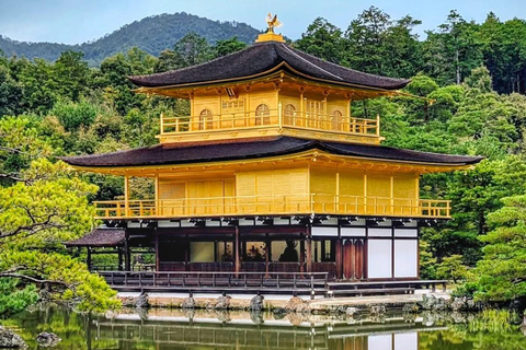 Kyoto and Nara: private tour with English speaking driver