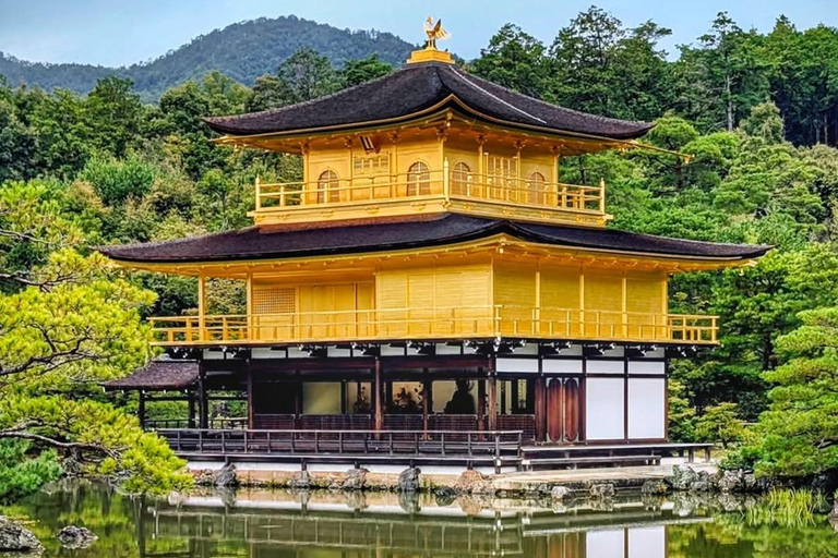 Kyoto and Nara: private tour with English speaking driver