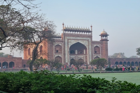 Desde Delhi : Visita guiada de un día al Fuerte y al Taj Mahal