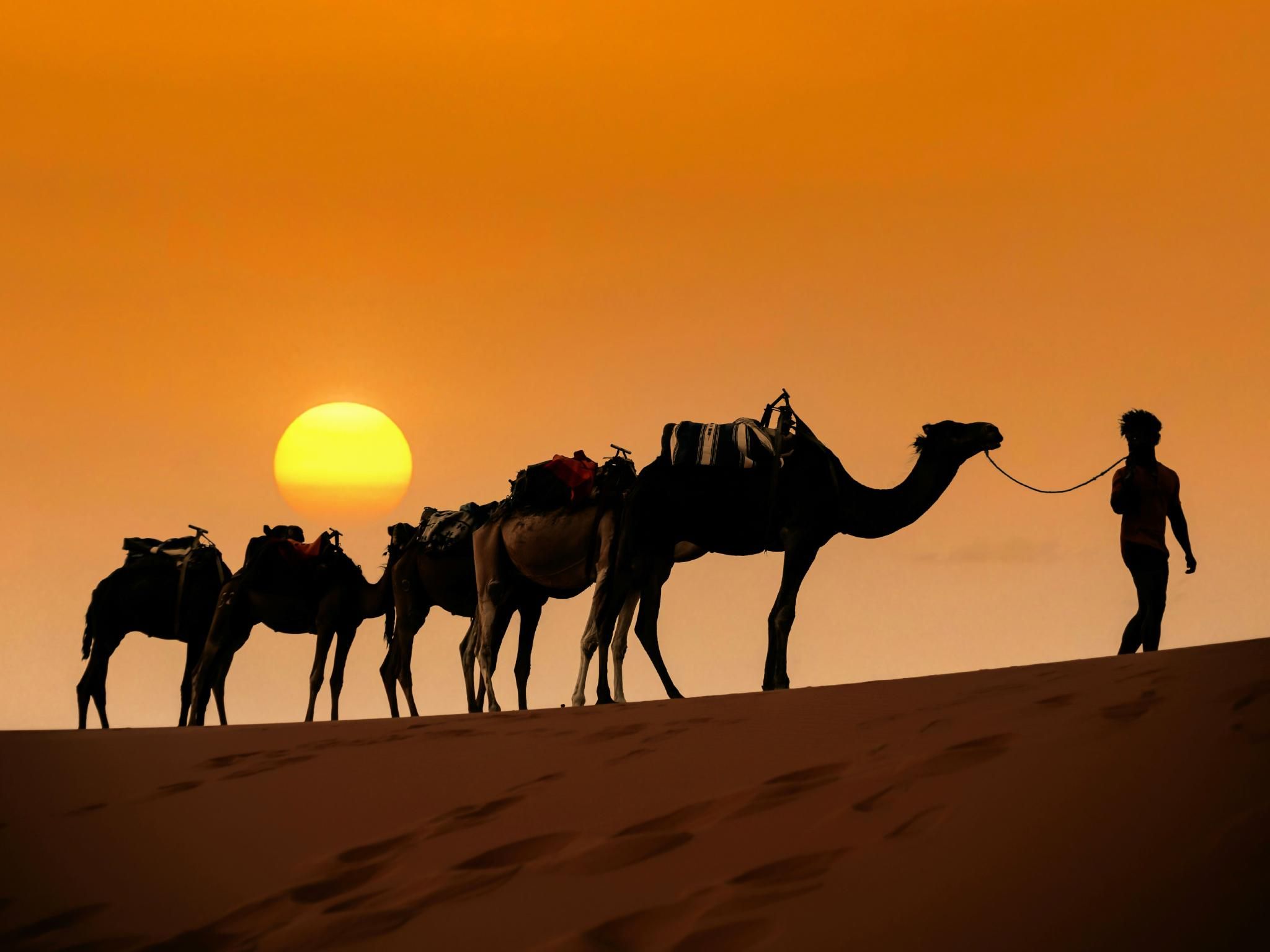 Ab Fès: Private 3-Tages-Wüstentour von Merzouga nach Marrakesch