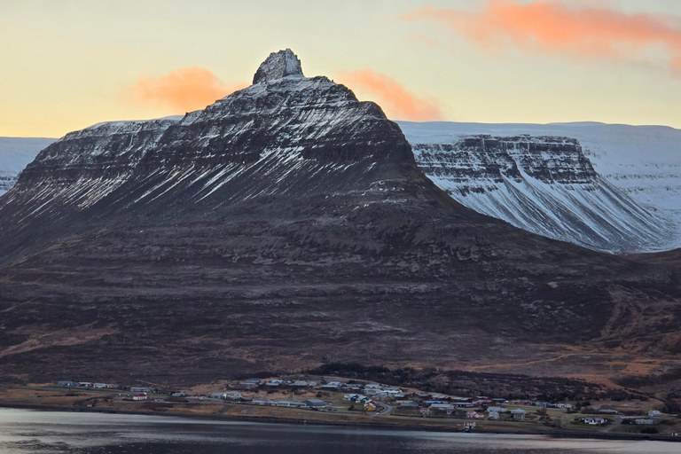Ísafjörður: Seal Colony, Avalanche Town & Fjord Views Tour