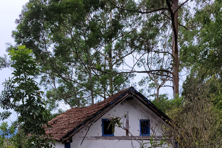 CAMINHO DO OURO - Geführte Tour durch den Atlantischen Wald, Wasserfälle und Geschichten.