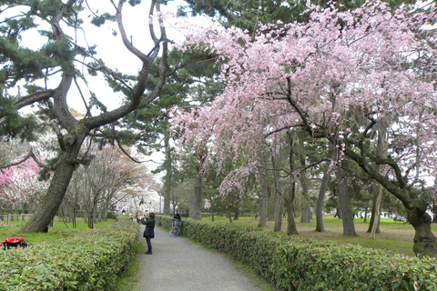 Kyoto: Guided Tea Ceremony, Garden, and Castle Tour Private Tour with Entrance Fees with Meeting Point
