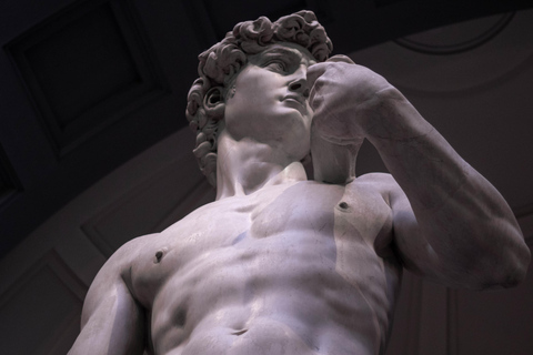 Florence: Accademia Gallery Tour & Wine Tasting Private Accademia Gallery Tour & Wine Tasting