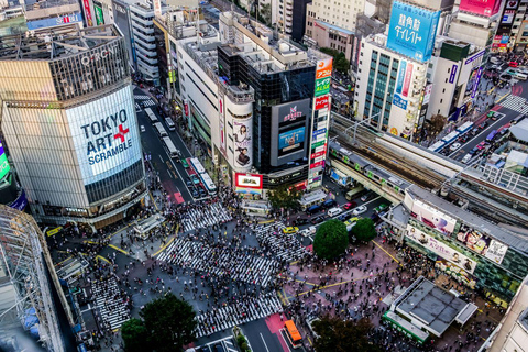 Tour panoramico privato di Tokyo con autista parlante inglese