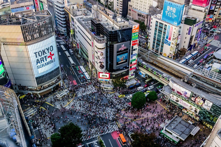 Tokyo Privat sightseeing med engelsktalande chaufför