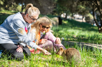 De Perth, Rottnest Island NEWNE BIKE ET FERRY TRIP - Housity