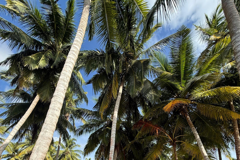 Saona Island: Premium Beach Tour
