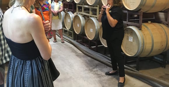 San Antonio: Fredericksburg Wineries Tagestour mit Verkostungen