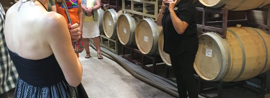 San Antonio : Excursion d'une journée dans les vignobles de Fredericksburg avec dégustations