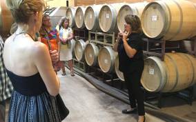 San Antonio: Fredericksburg Wineries Day Trip with Tastings