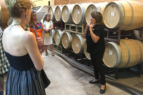 San Antonio: Fredericksburg Wineries Day Trip with Tastings Tour in English