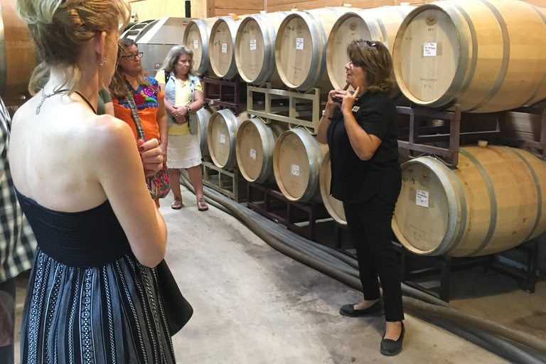 San Antonio: Fredericksburg Wineries Day Trip with Tastings Tour in English