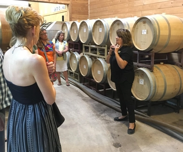 San Antonio: Fredericksburg Wineries Day Trip with Tastings