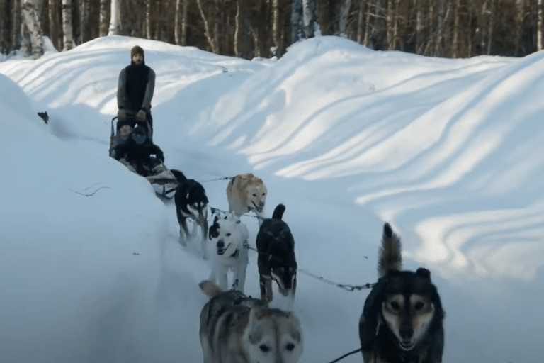 Talkeetna: تجربة تزلج الكلاب في فصل الشتاء في ألاسكا