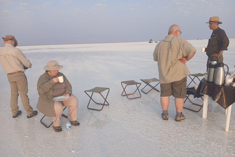 Mekelle: 3-dniowa wycieczka do depresji Danakil i na Erta AleMekelle: 3-dniowa wycieczka po depresji Danakil i Erta Ale