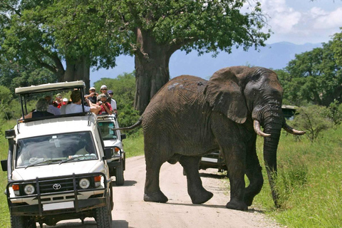 5 daagse avontuurlijke safari in Kenia