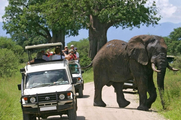 5 Tage Kenia Abenteuer Safari