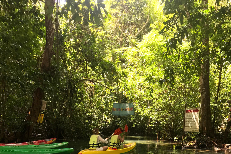 Krabi : Kayak sur l'Amazone Klong Srakaew et nourrissage des éléphants