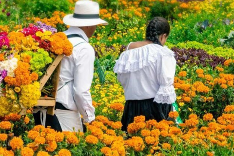 Medellín: Flower Fair Sightseeing Tour by Chiva Bus and Silletera Farm Medellín: Flower Fair Sightseeing Tour by Chiva Bus and Visit to a Silletera Farm