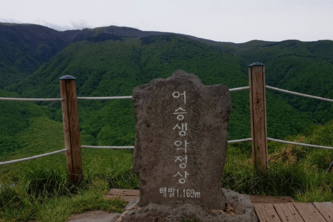 Jeju: UNESCO-Listed Southern Authentic Day Tour