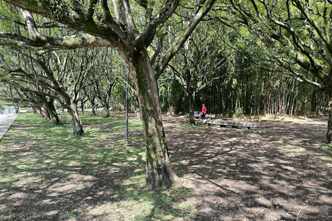 Medellín Through Time – City Sightseeing Tour | Subway, Metrocable, and Historic Center