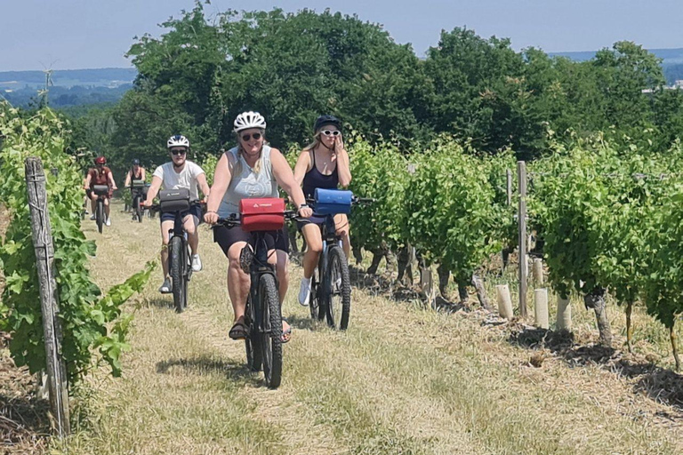 Chateau della Valle della Loira: tour di 2 giorni in bicicletta con degustazione di vini