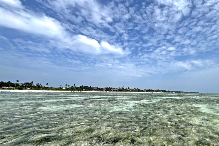 ZANZIBAR: SWIMMING WITH DOLPHIN AND SNORKELING