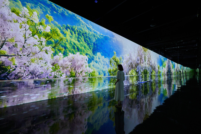 Paju: Museum HEI Immersive Media Art Exhibition Entry Ticket