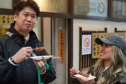Tokyo Private Custom Tour with a Local Guide 6 hours