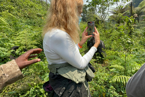 Passeio de 3 dias ao Gorila Mgahinga Gorilla NP Uganda via Ruanda