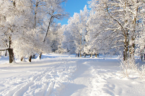 Bakoe: Sprookjesbergen, Guba en Shahdag Tour