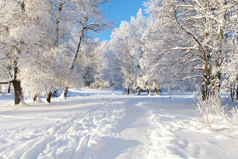 Bakoe: Sprookjesbergen, Guba en Shahdag Tour