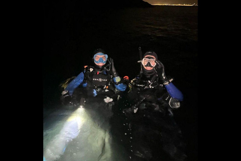 Lima: Night Dive in Pucusana