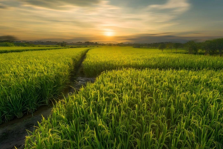 Guilin : tour en bateau dans les marais de Huixian et visite des champs de verre
