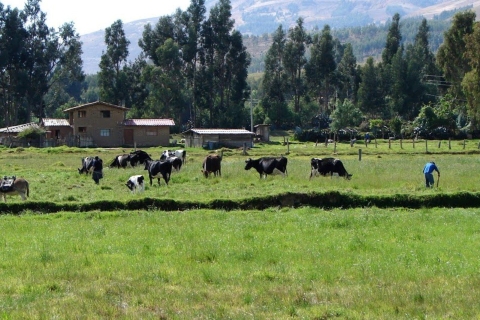 Ausflug zur Hacienda La Colpa und Baños del Inca.