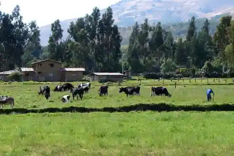 Excursion to the La Colpa hacienda and Baños del Inca.