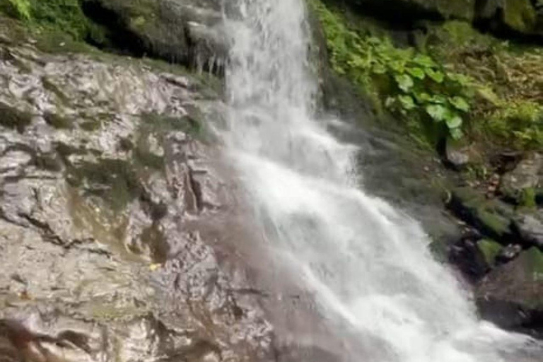 Discover Ajarian mountains with a flavor of wine