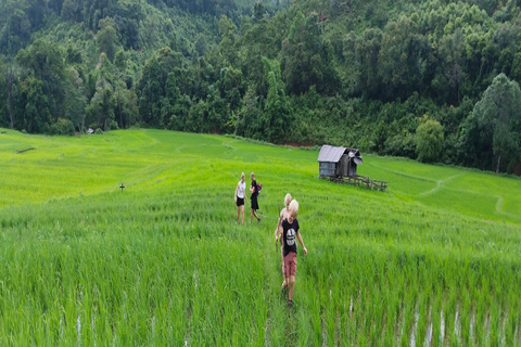 Chiang Mai Trekking (icke-turistisk led)Chiang Mai vandring