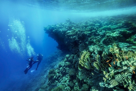Von Sharm oder Dahab: Blue Hole & Canyon Sea Dive ExperienceAbholung von Sharm El-Shiekh