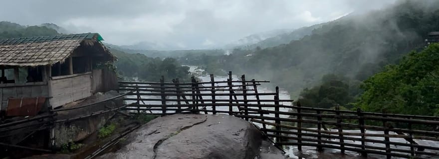 Depuis Kochi : Excursion d'une journée aux chutes d'eau d'Athirappilly avec transferts