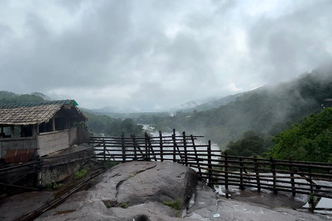 Da Kochi: Escursione di un giorno alle cascate di Athirappilly con trasferimenti