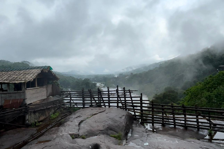 De Kochi: Viagem de 1 dia às cascatas de Athirappilly com transferes