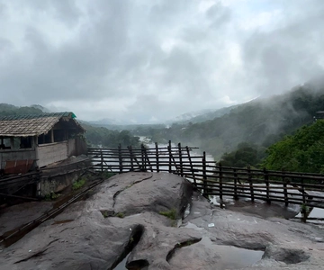 From Kochi: Athirappilly Waterfalls Day Trip with Transfers