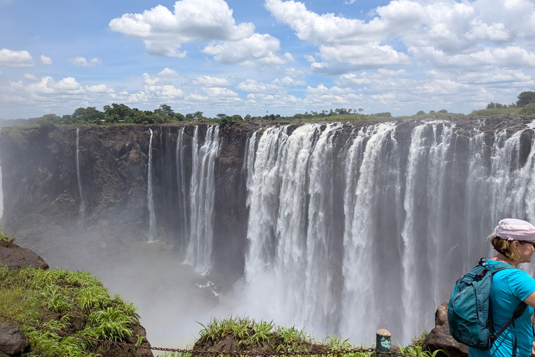 Victoria Falls Half-Day Guided Tour: Zambia & Zimbabwe