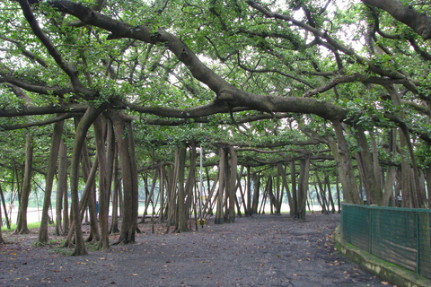 Kolkata: 3-Day City Highlights Tour with Accommodation