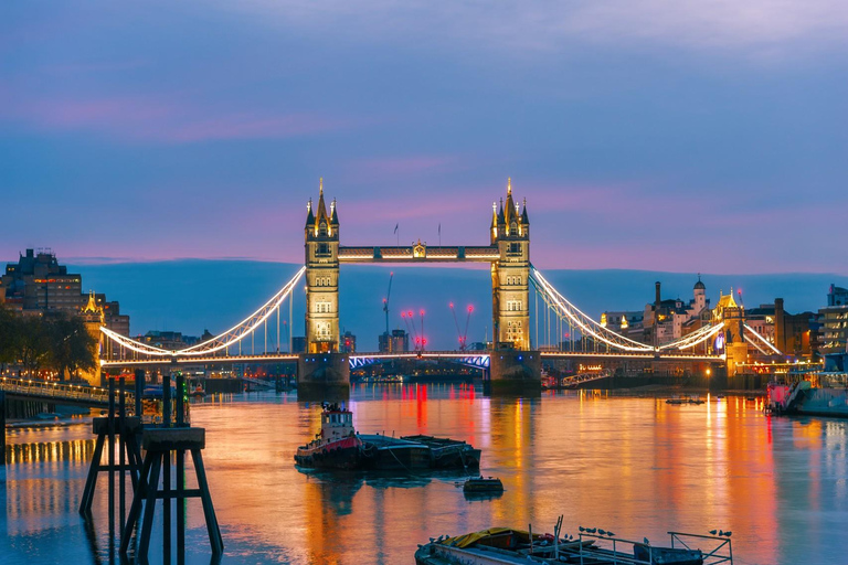 Tour della Torre di Londra con guida privata, biglietti e servizio di prelievoTour della Torre di Londra con guida privata, biglietti, ritiro