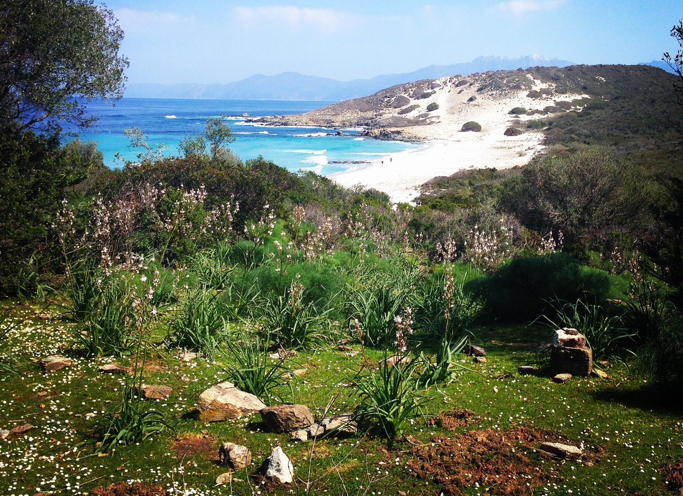 4x4 Agriates ørken- og strandudflugt fra Calvi